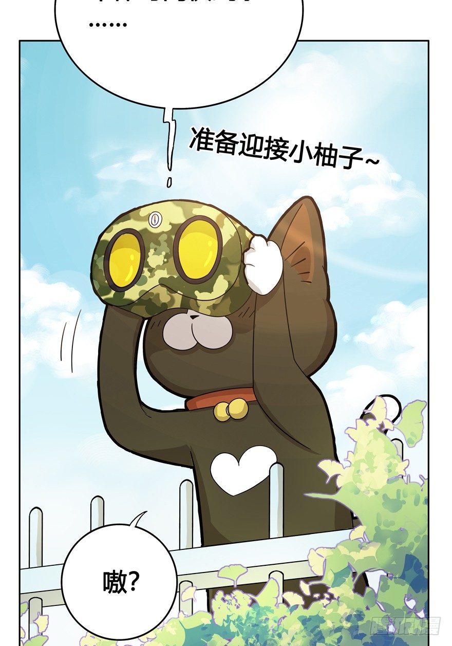 《回到过去变成猫外传》第18爪 猫生赢家（下） 第17页