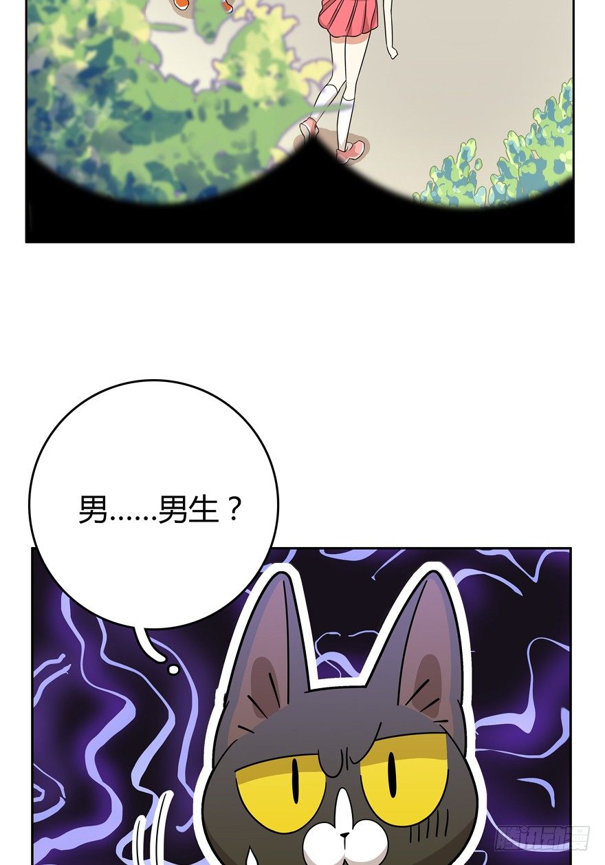 《回到过去变成猫外传》第18爪 猫生赢家（下） 第19页