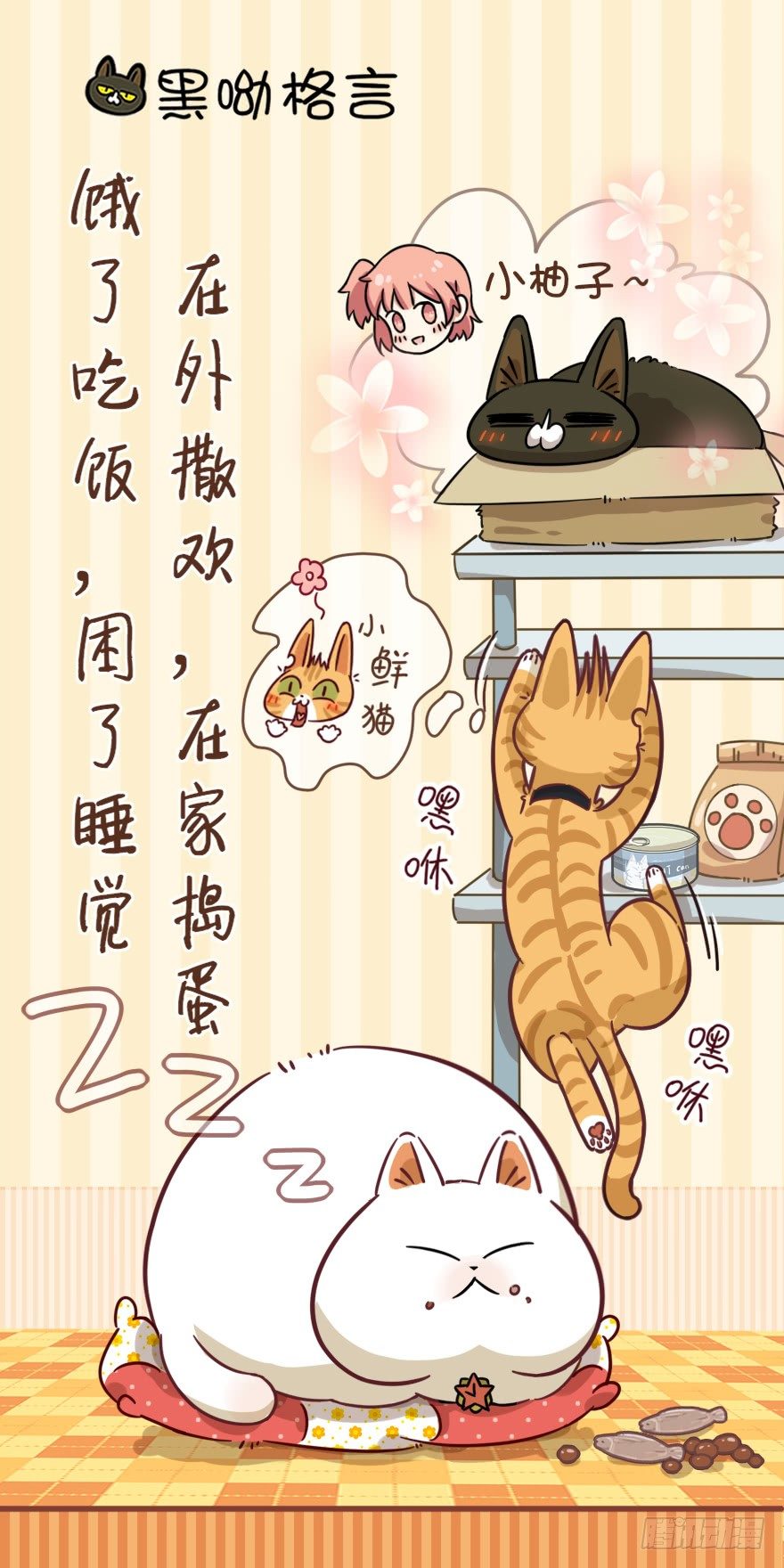 《回到过去变成猫外传》第18爪 猫生赢家（下） 第21页