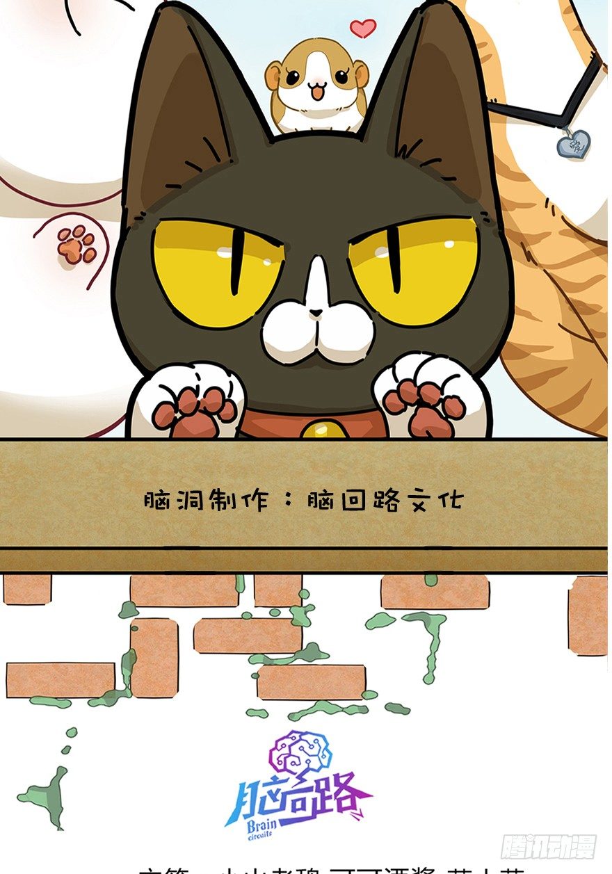 《回到过去变成猫外传》第18爪 猫生赢家（下） 第2页