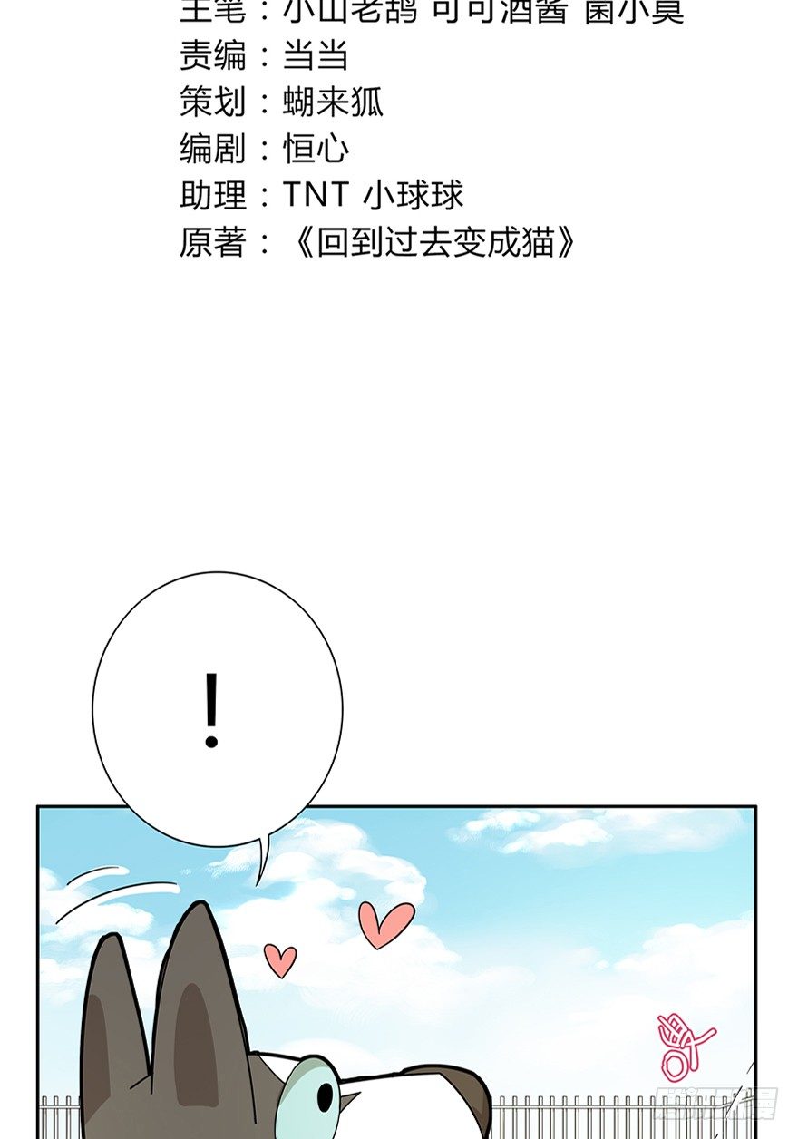 《回到过去变成猫外传》第18爪 猫生赢家（下） 第3页