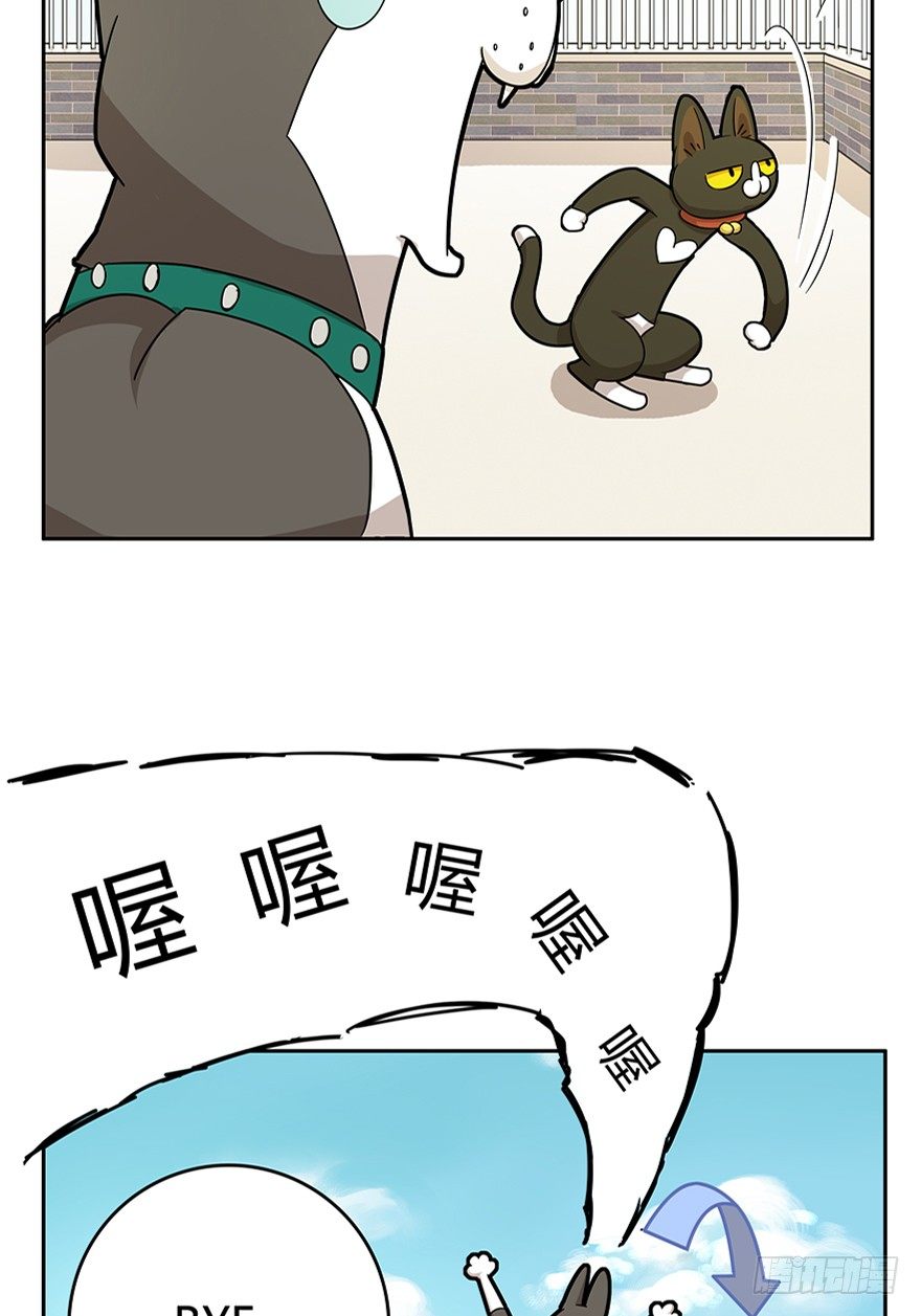 《回到过去变成猫外传》第18爪 猫生赢家（下） 第4页