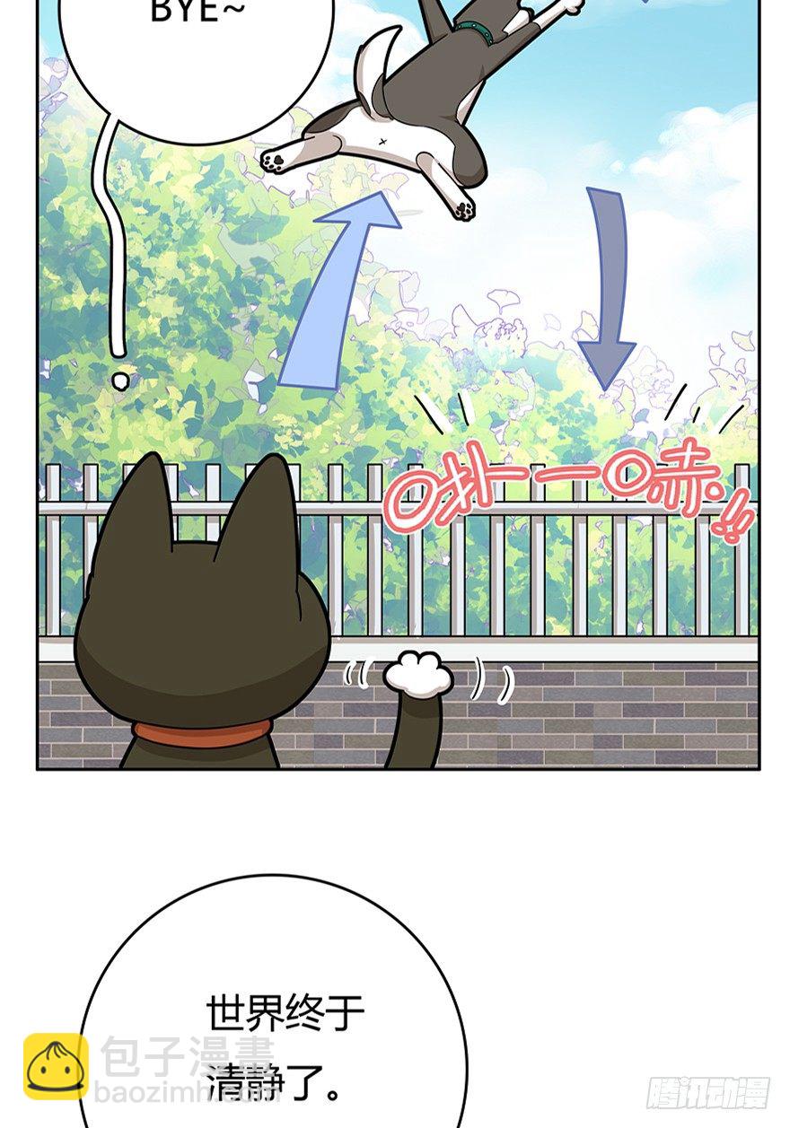 《回到过去变成猫外传》第18爪 猫生赢家（下） 第5页
