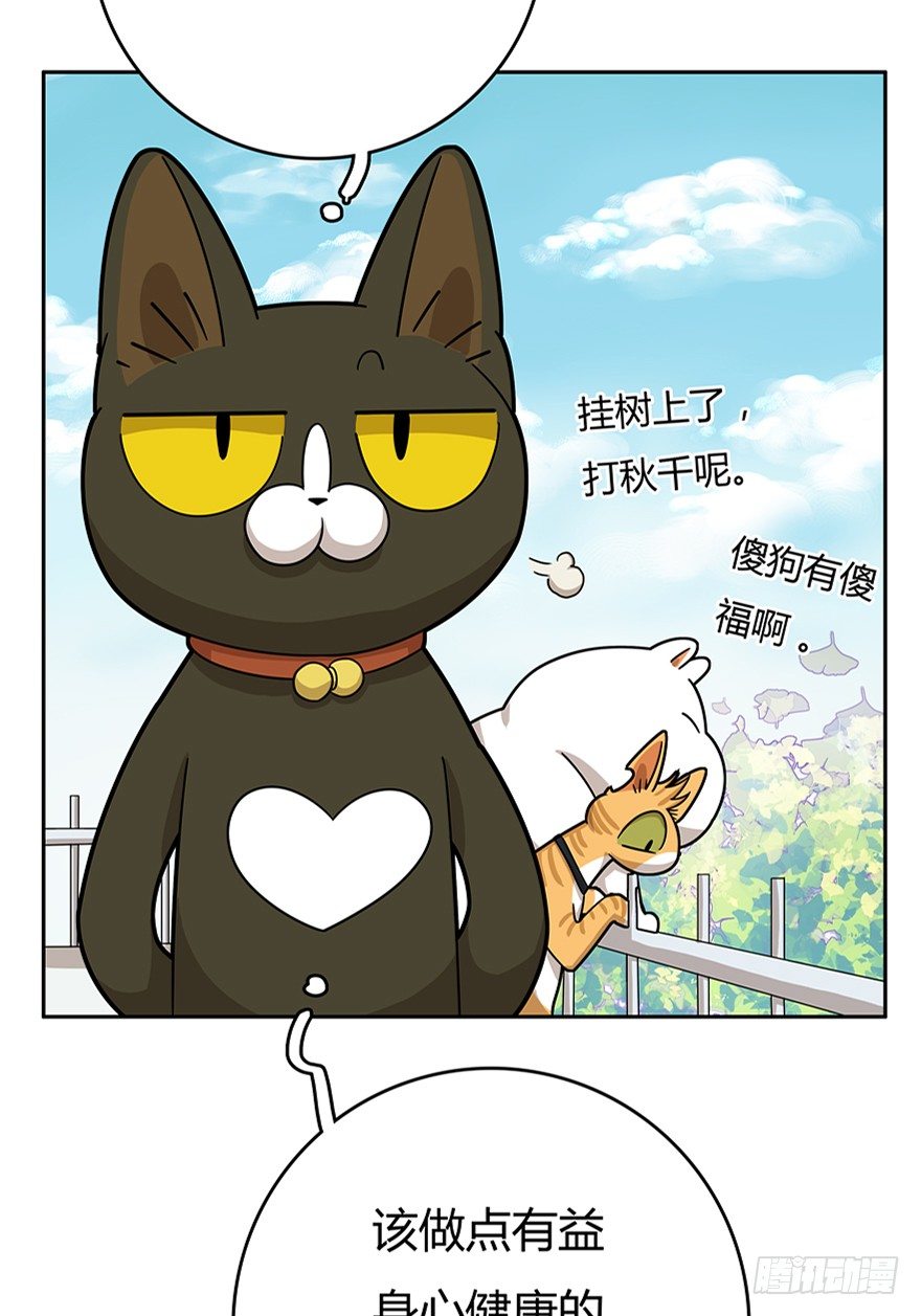 《回到过去变成猫外传》第18爪 猫生赢家（下） 第6页