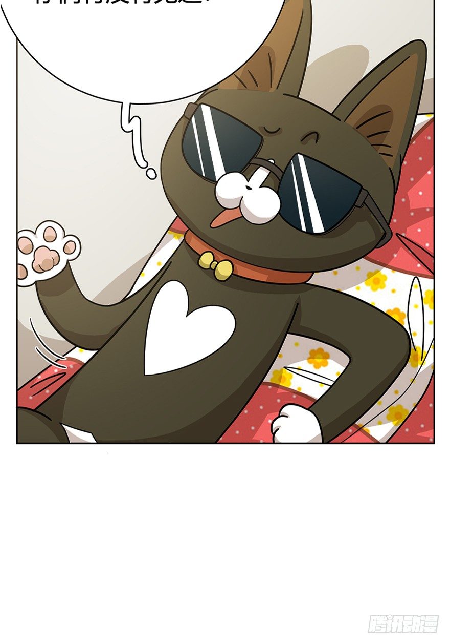 《回到过去变成猫外传》第18爪 猫生赢家（下） 第9页