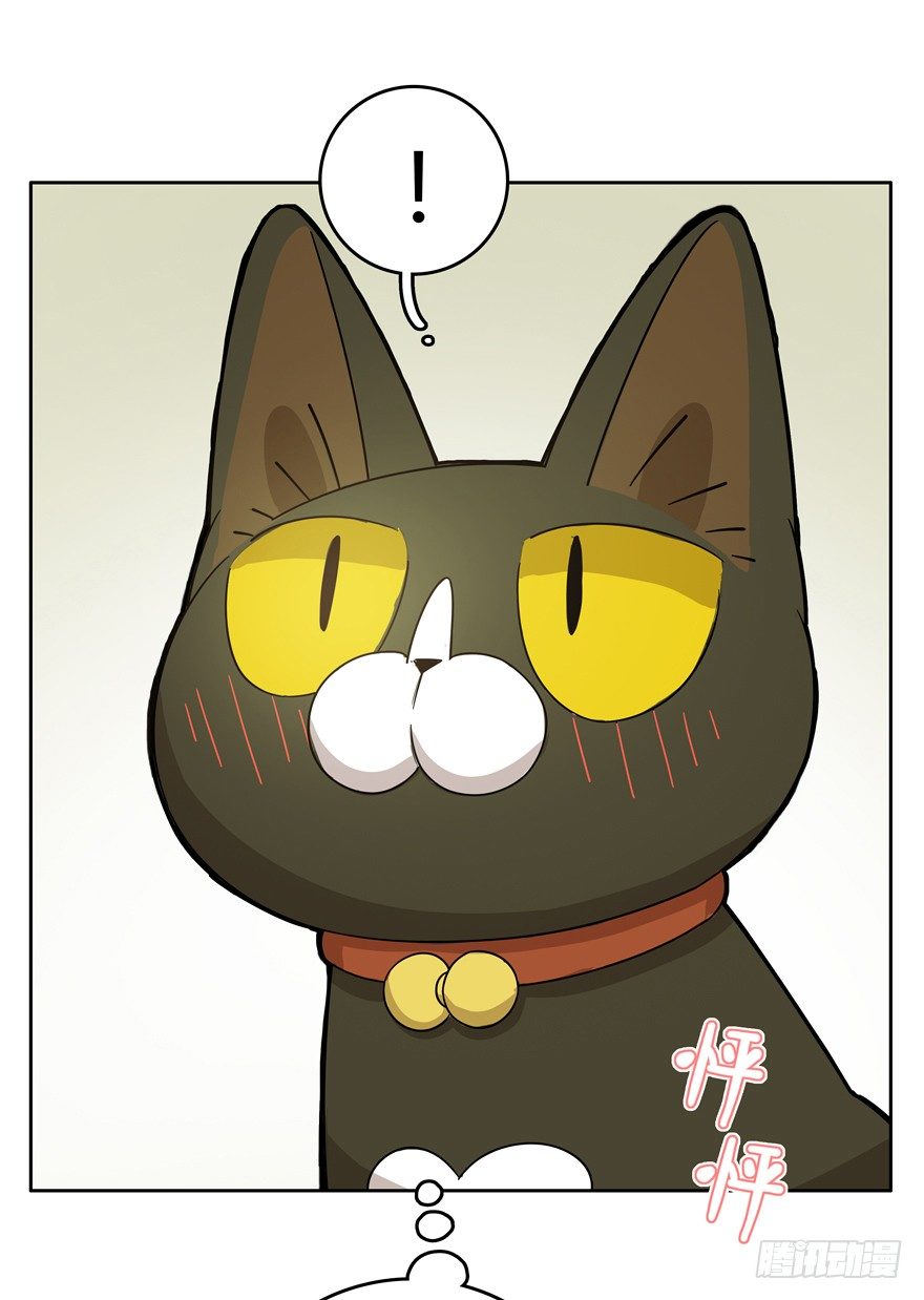 《回到过去变成猫外传》第19爪 她喜欢的人 第13页