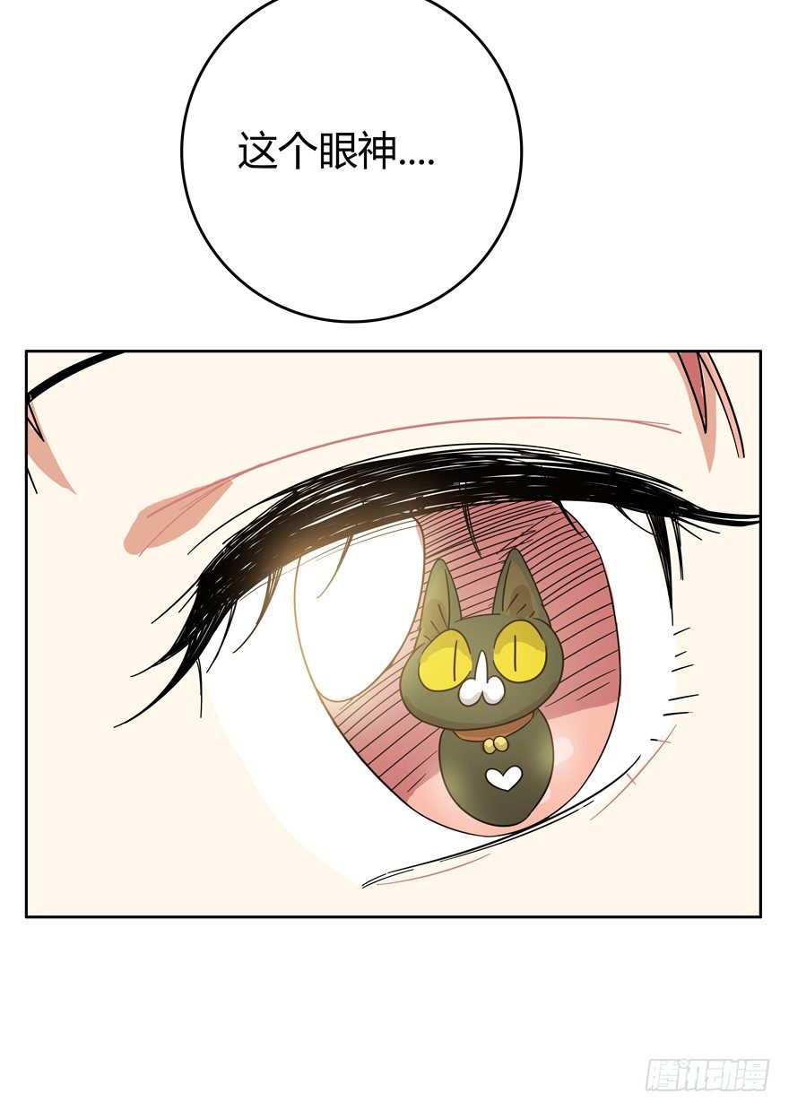《回到过去变成猫外传》第19爪 她喜欢的人 第14页