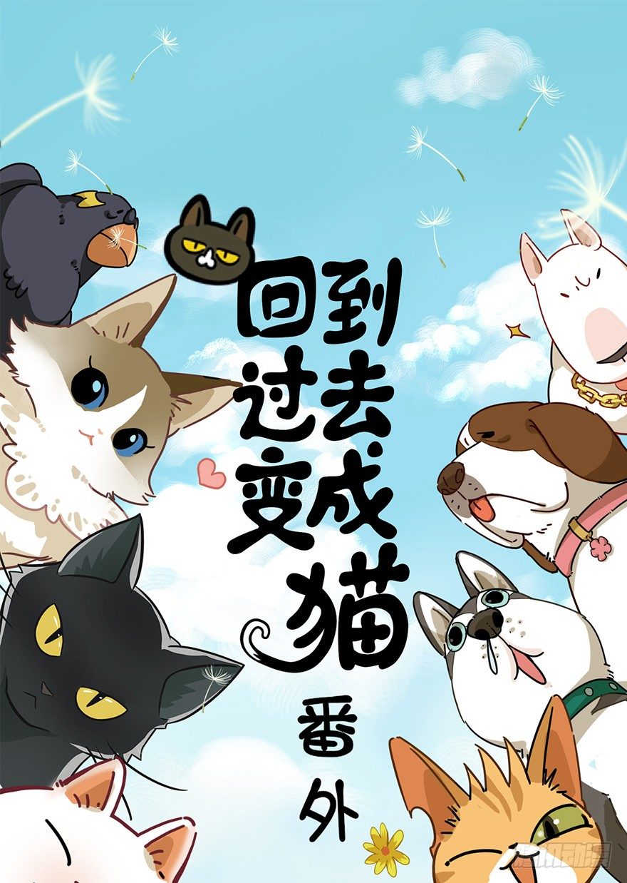 《回到过去变成猫外传》第19爪 她喜欢的人 第1页