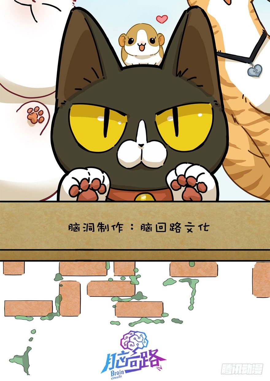 《回到过去变成猫外传》第19爪 她喜欢的人 第2页