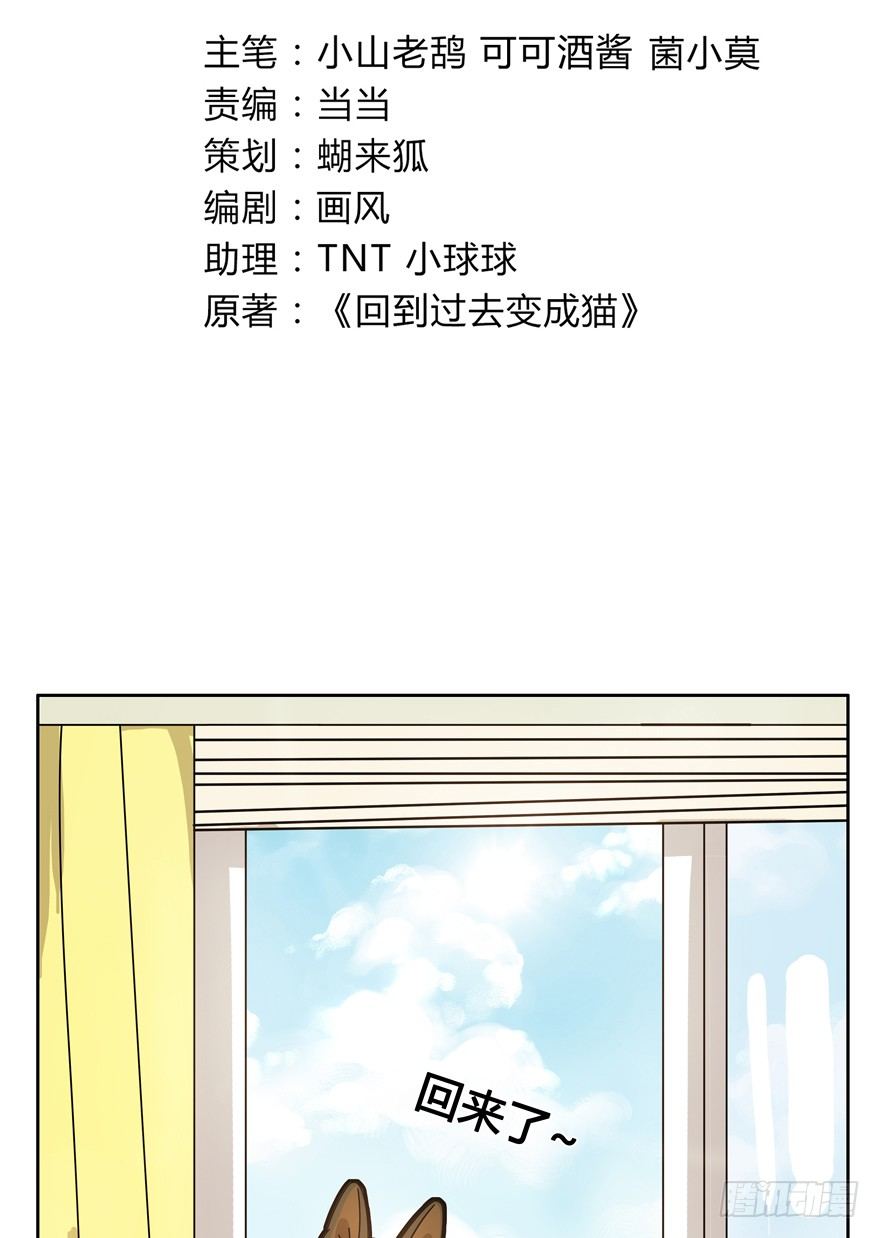 《回到过去变成猫外传》第19爪 她喜欢的人 第3页