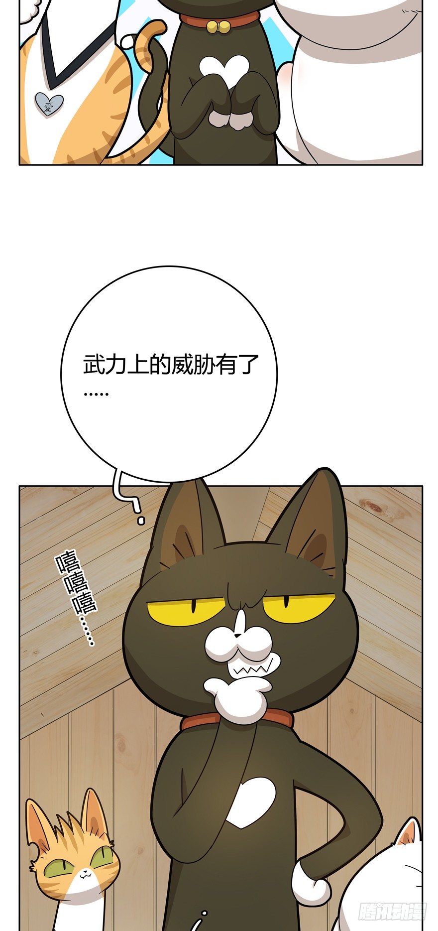 《回到过去变成猫外传》第23爪 网红计划 第11页