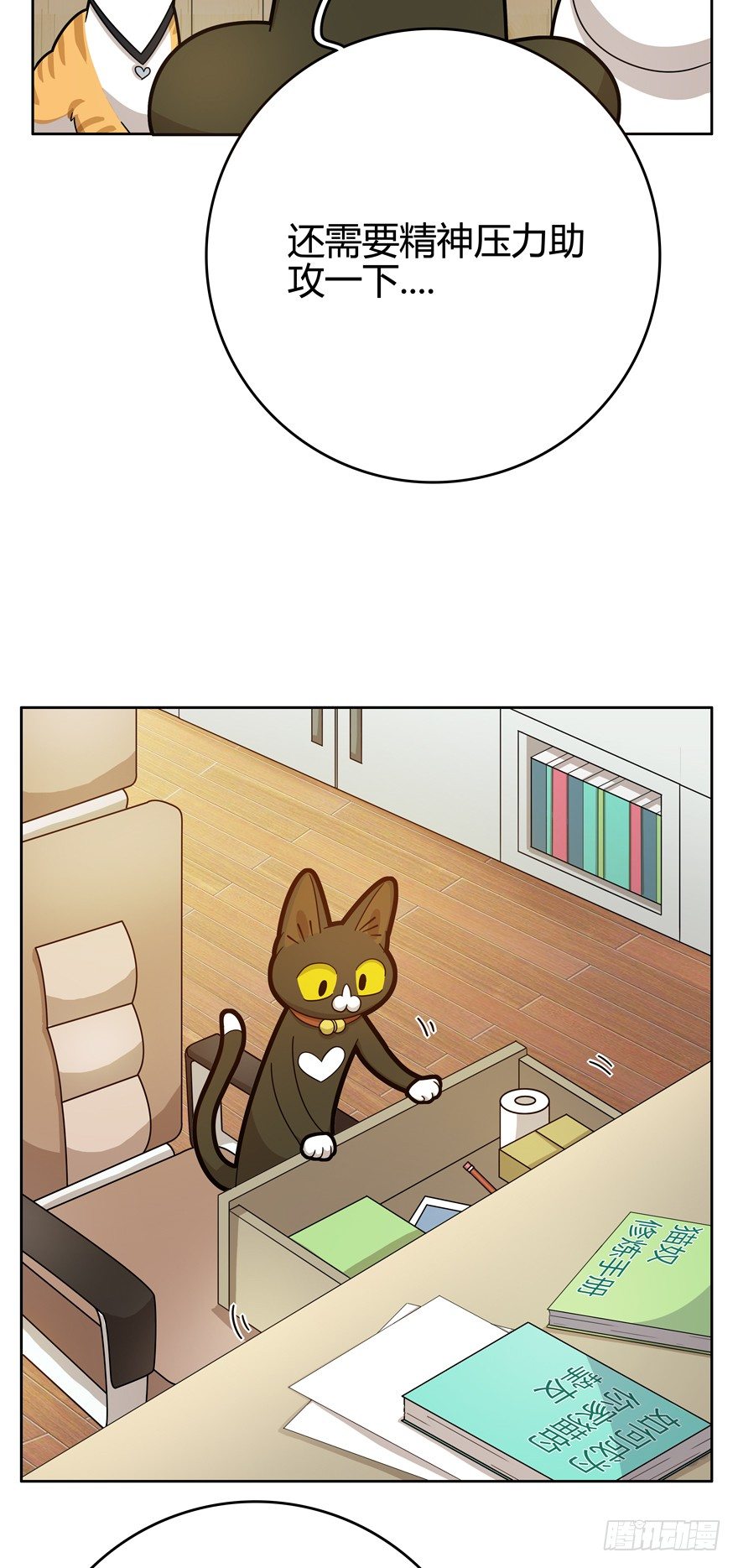 《回到过去变成猫外传》第23爪 网红计划 第12页
