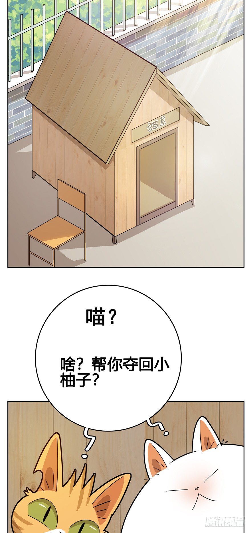 《回到过去变成猫外传》第23爪 网红计划 第6页
