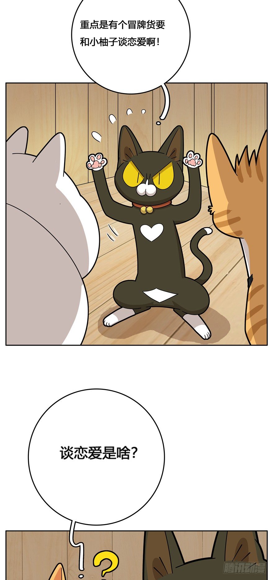 《回到过去变成猫外传》第23爪 网红计划 第9页