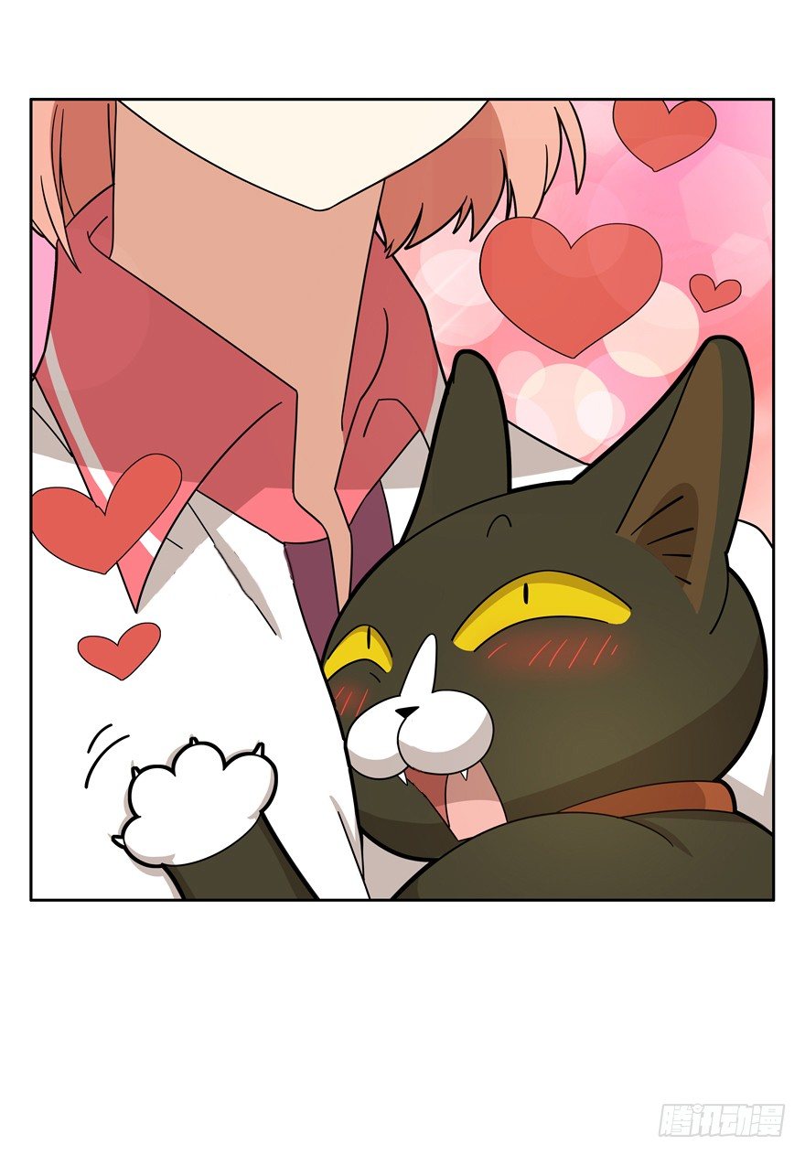 《回到过去变成猫外传》第22爪 老子被自己绿了 第13页