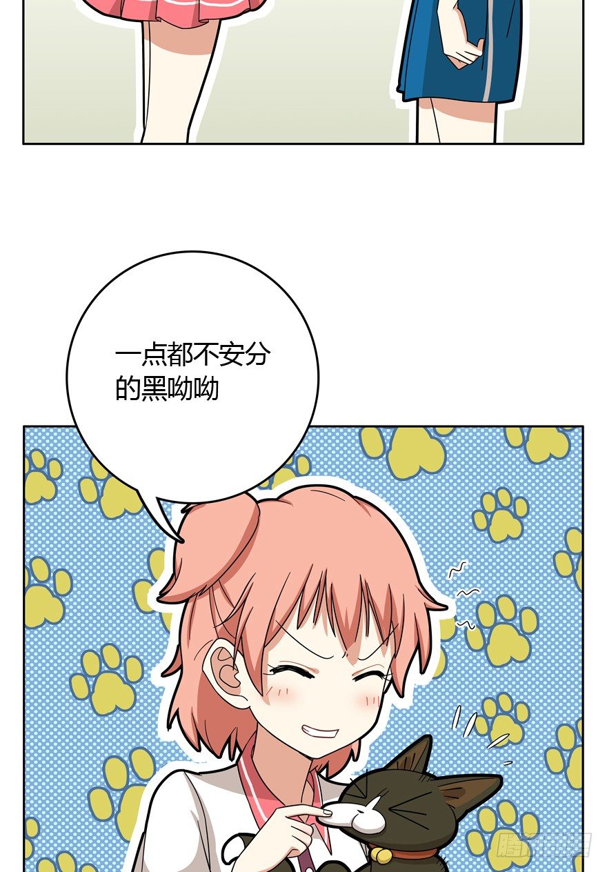 《回到过去变成猫外传》第22爪 老子被自己绿了 第15页
