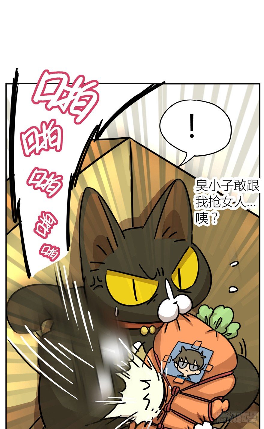 《回到过去变成猫外传》第24爪 “美好”的季节 第11页