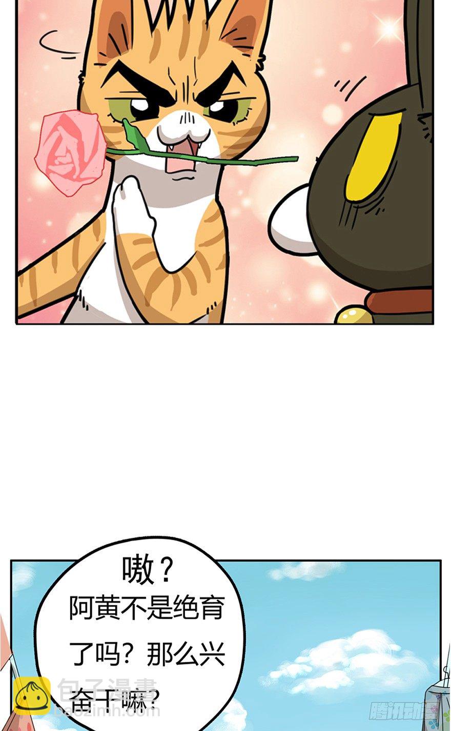 《回到过去变成猫外传》第24爪 “美好”的季节 第18页