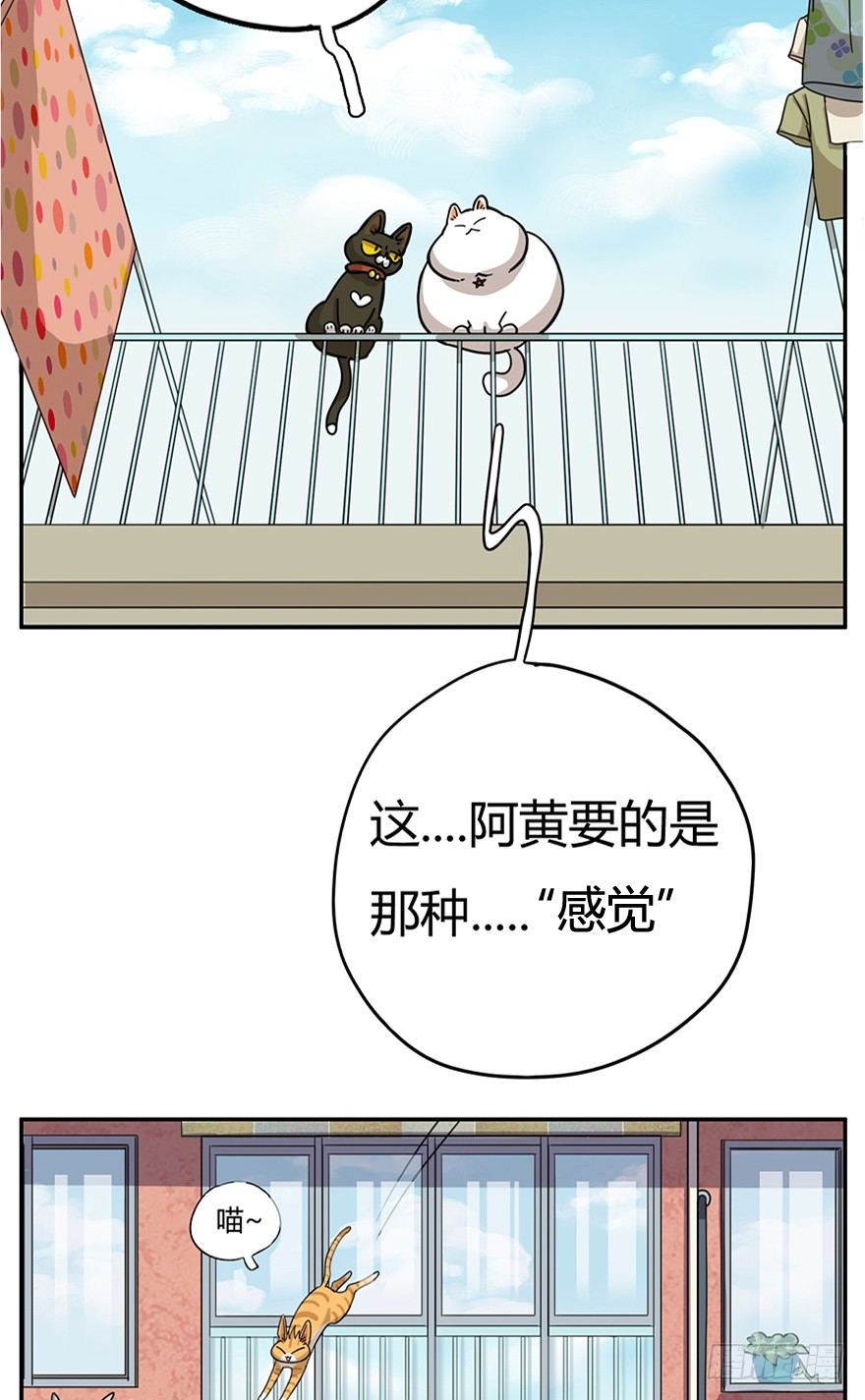 《回到过去变成猫外传》第24爪 “美好”的季节 第19页