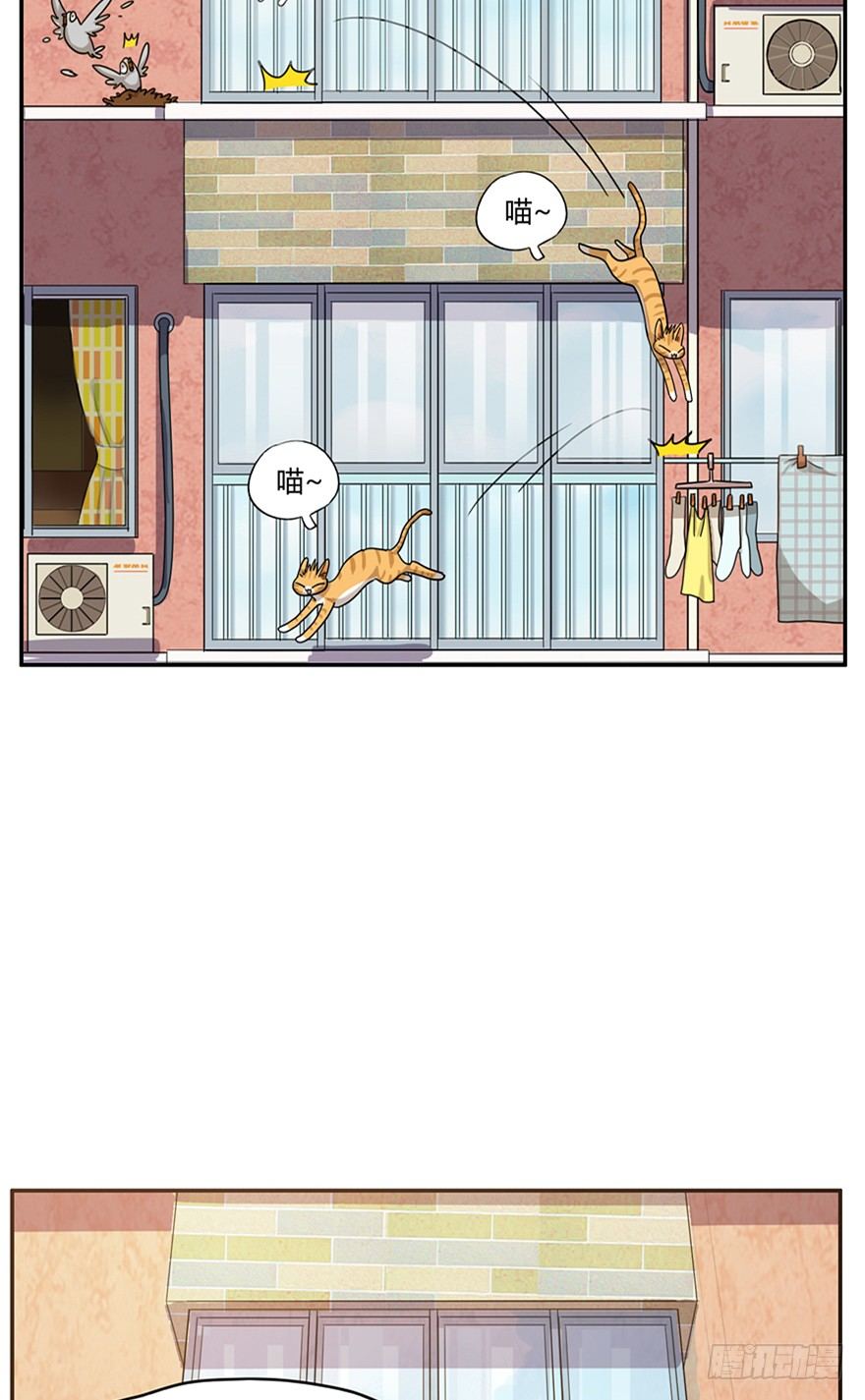 《回到过去变成猫外传》第24爪 “美好”的季节 第20页