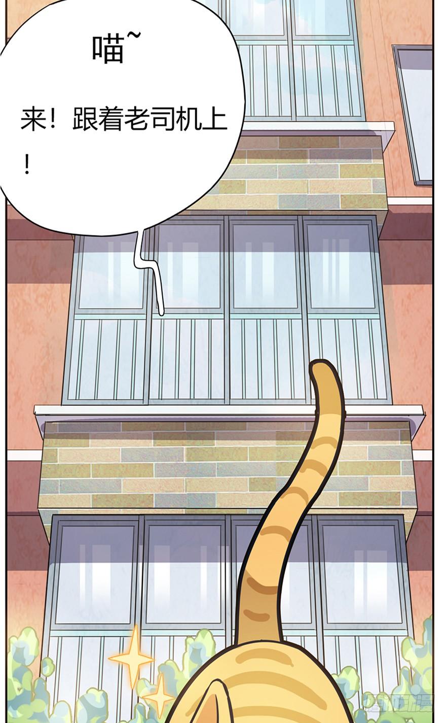 《回到过去变成猫外传》第24爪 “美好”的季节 第21页