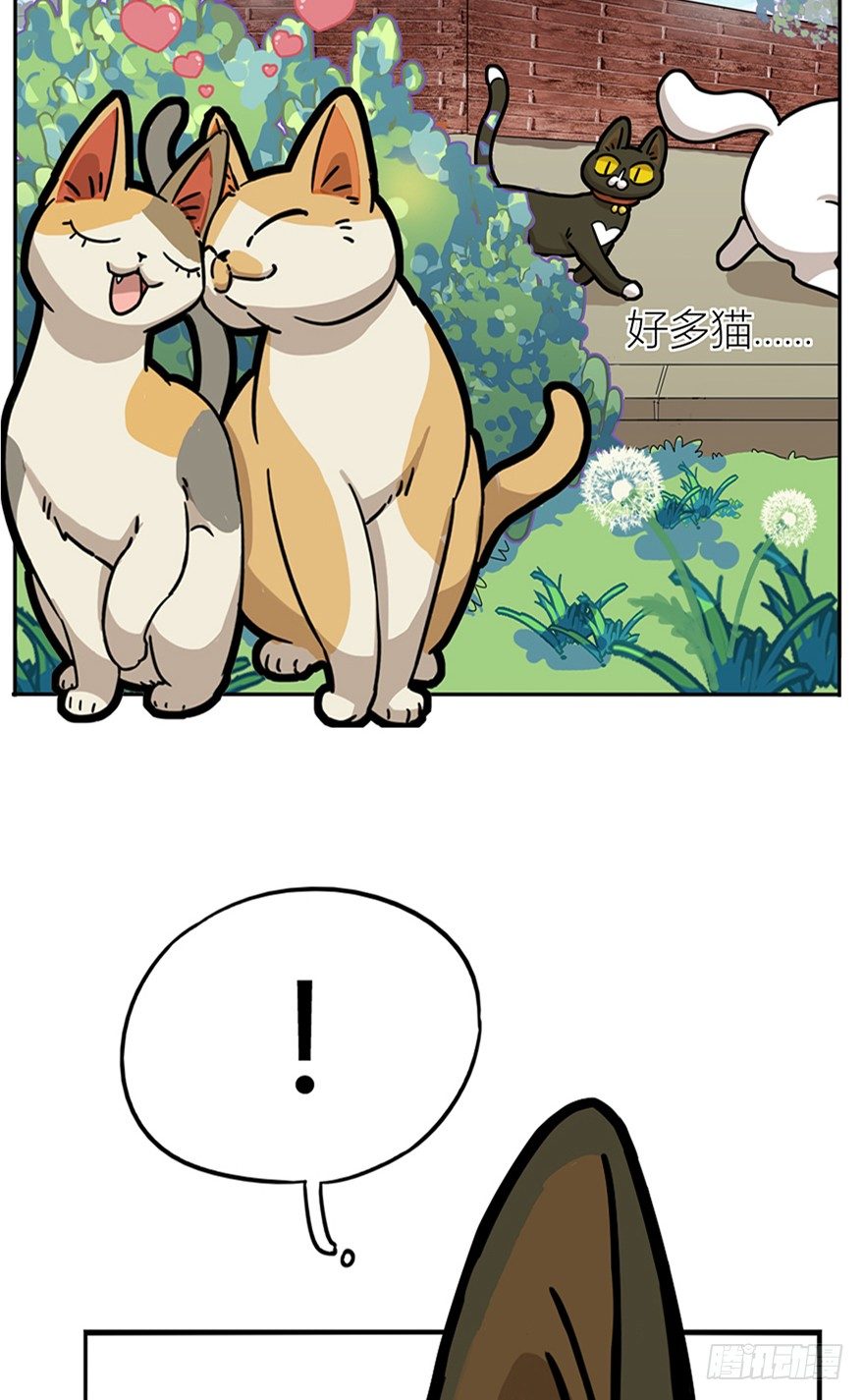 《回到过去变成猫外传》第24爪 “美好”的季节 第25页