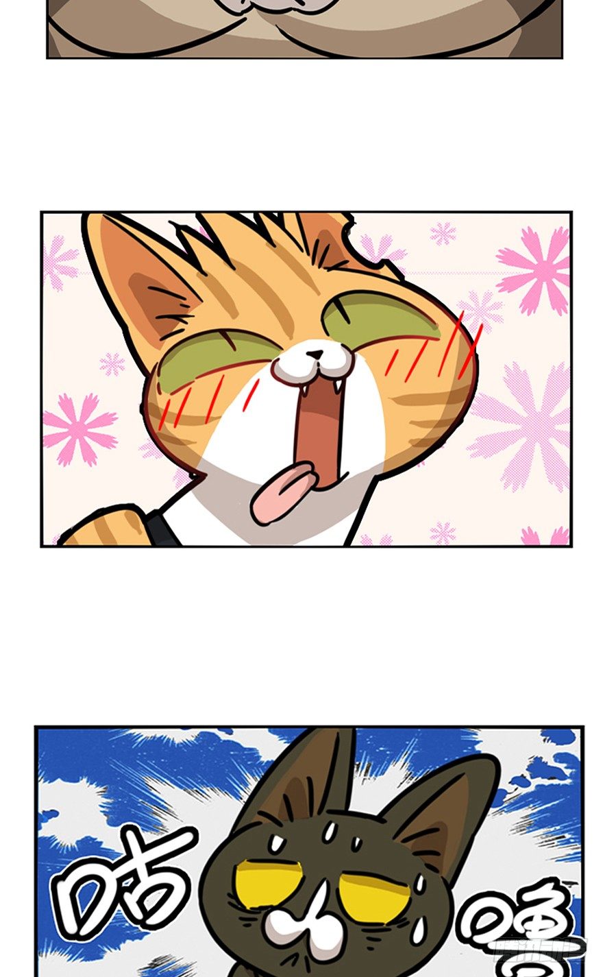 《回到过去变成猫外传》第24爪 “美好”的季节 第28页