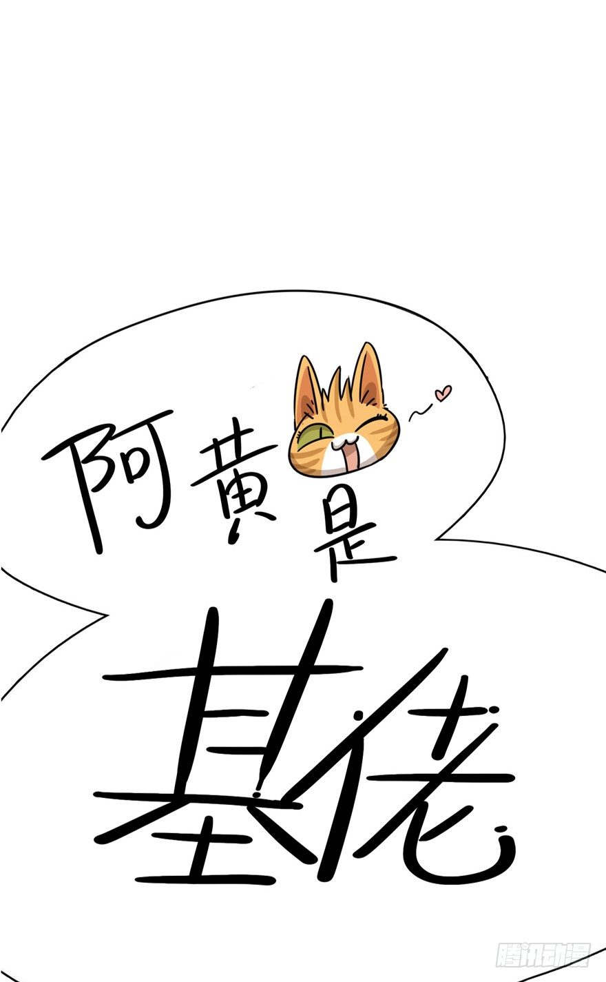 《回到过去变成猫外传》第24爪 “美好”的季节 第33页