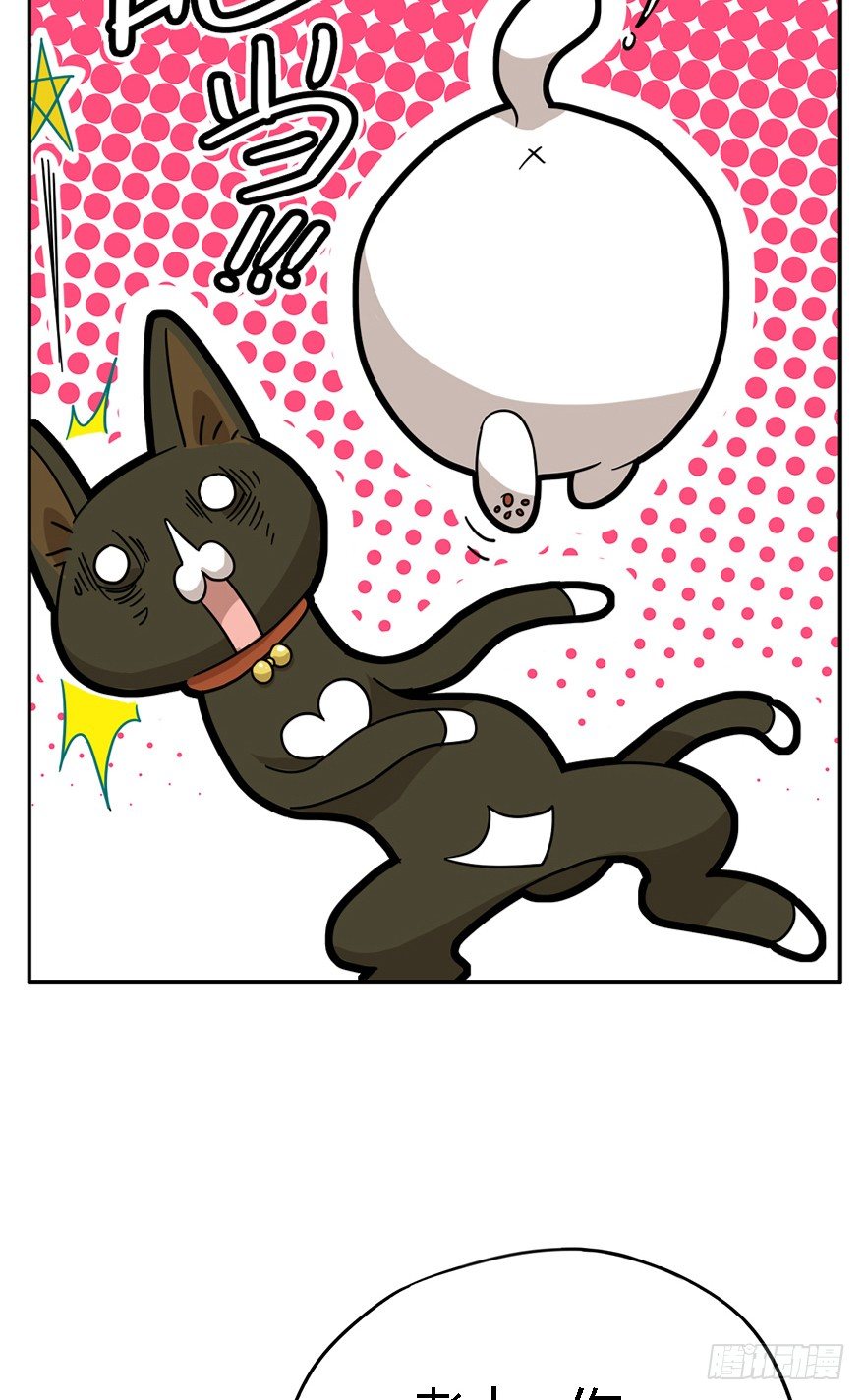《回到过去变成猫外传》第24爪 “美好”的季节 第36页