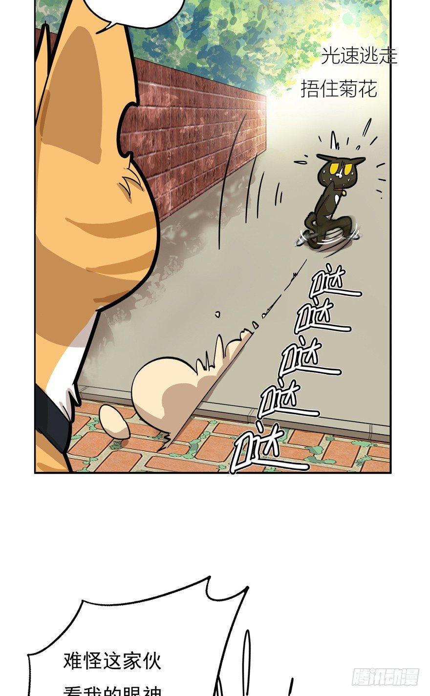 《回到过去变成猫外传》第24爪 “美好”的季节 第38页