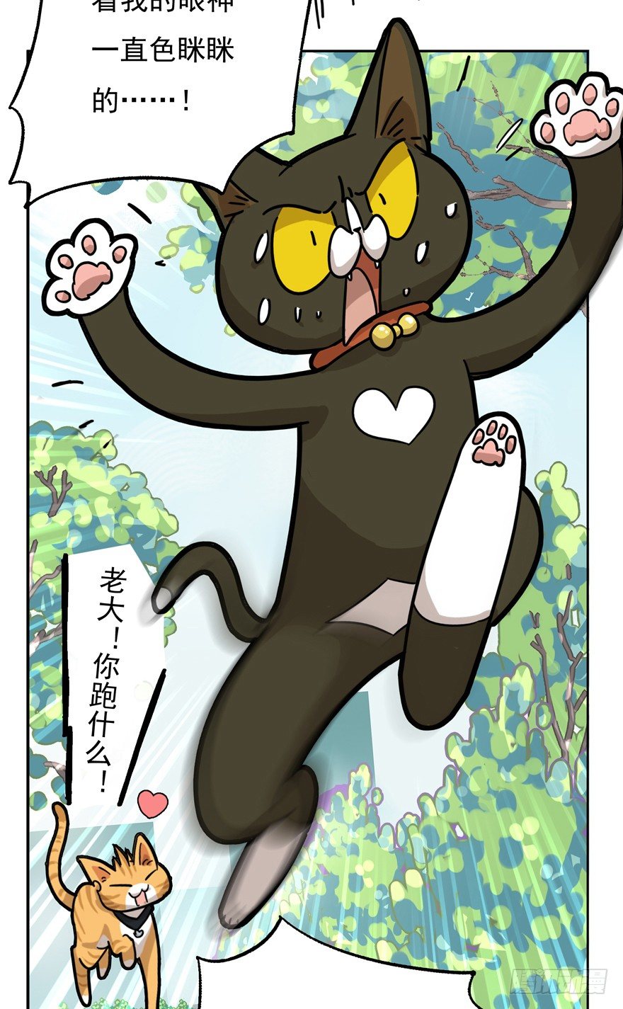 《回到过去变成猫外传》第24爪 “美好”的季节 第39页