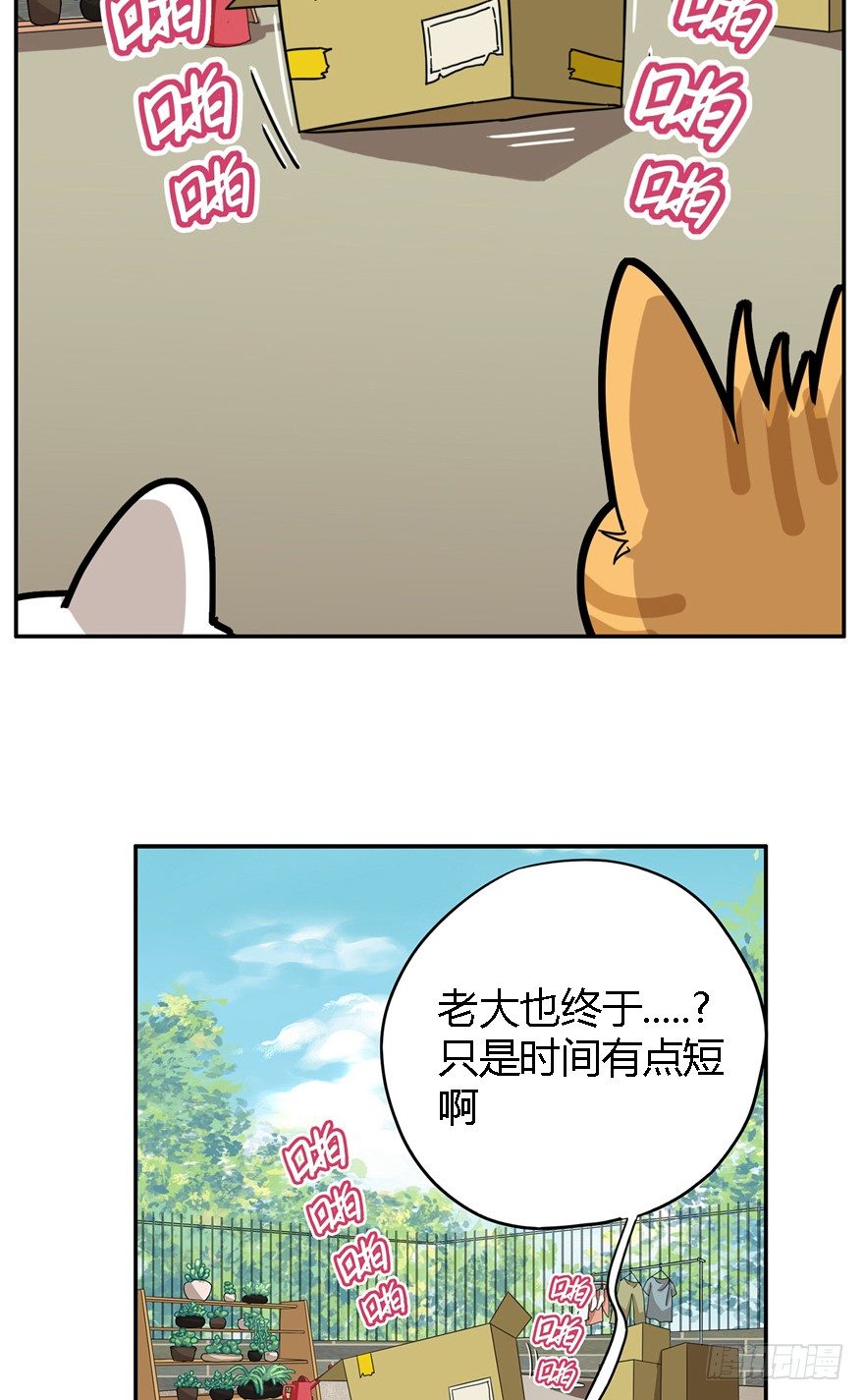 《回到过去变成猫外传》第24爪 “美好”的季节 第4页