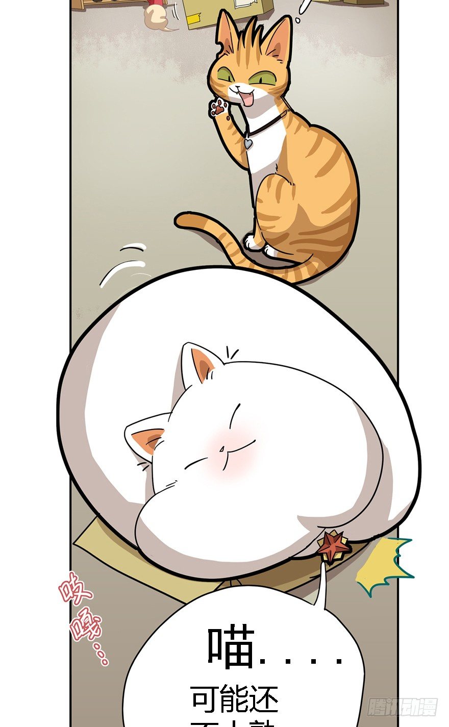 《回到过去变成猫外传》第24爪 “美好”的季节 第5页