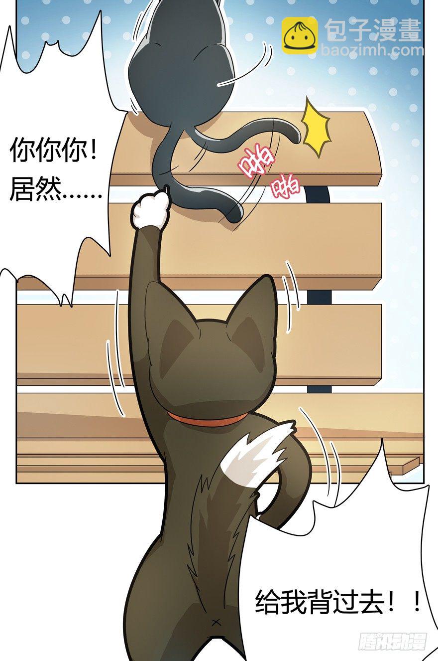 《回到过去变成猫外传》第21爪 夏天真好（下） 第10页
