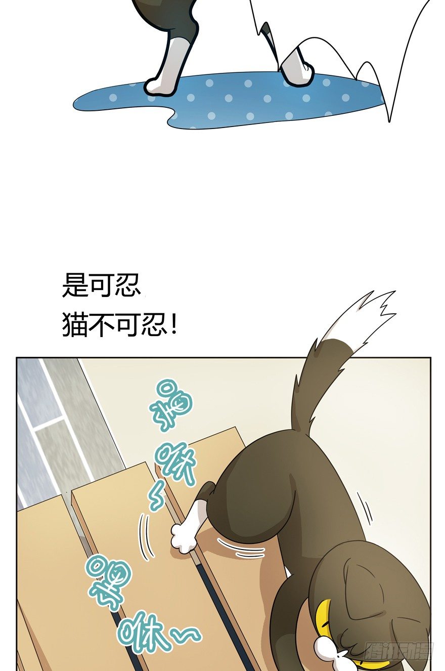 《回到过去变成猫外传》第21爪 夏天真好（下） 第11页
