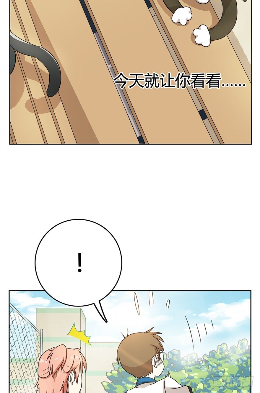 《回到过去变成猫外传》第21爪 夏天真好（下） 第12页