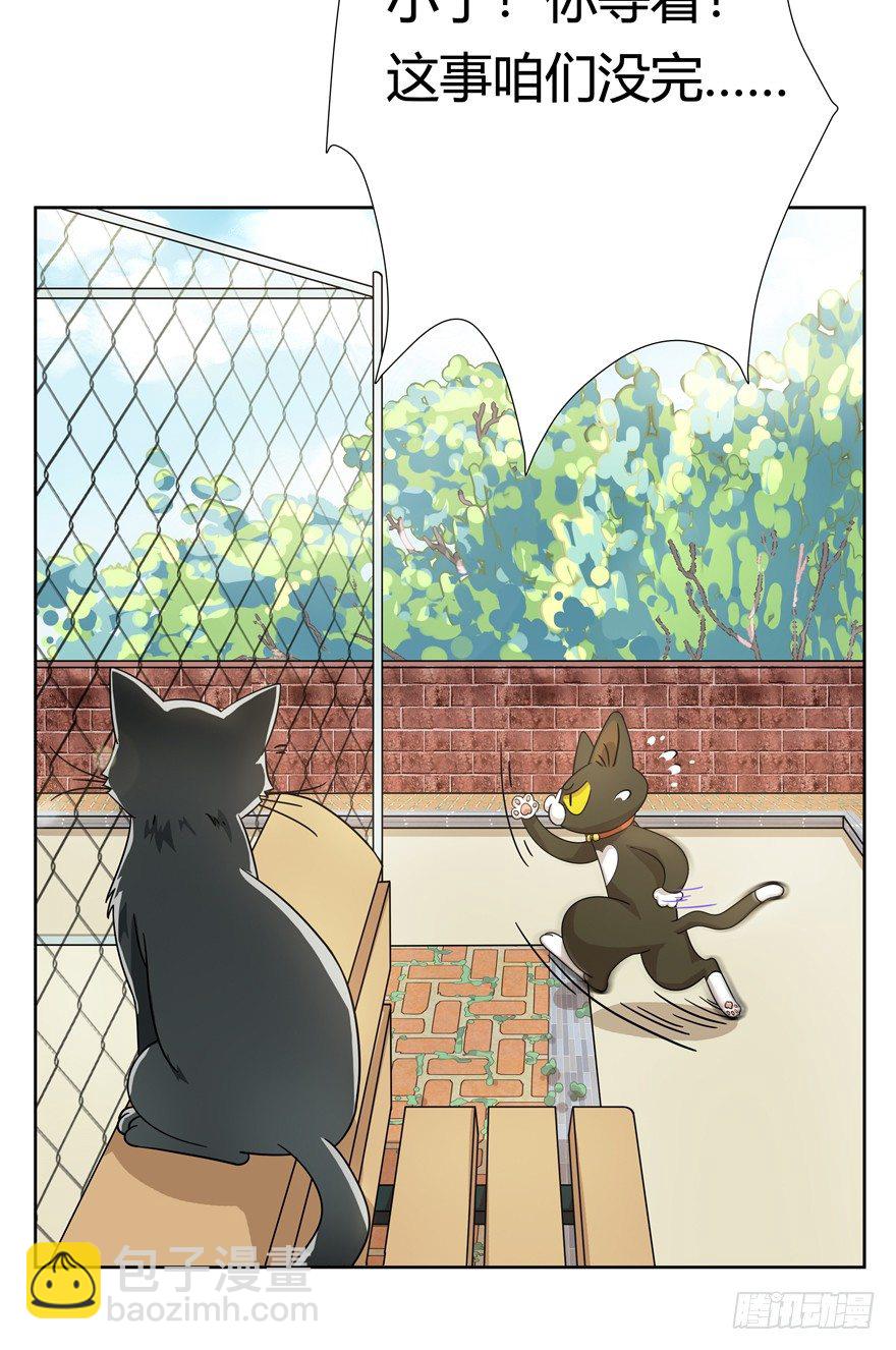 《回到过去变成猫外传》第21爪 夏天真好（下） 第17页