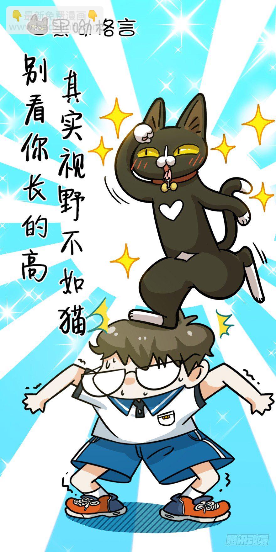 《回到过去变成猫外传》第21爪 夏天真好（下） 第19页