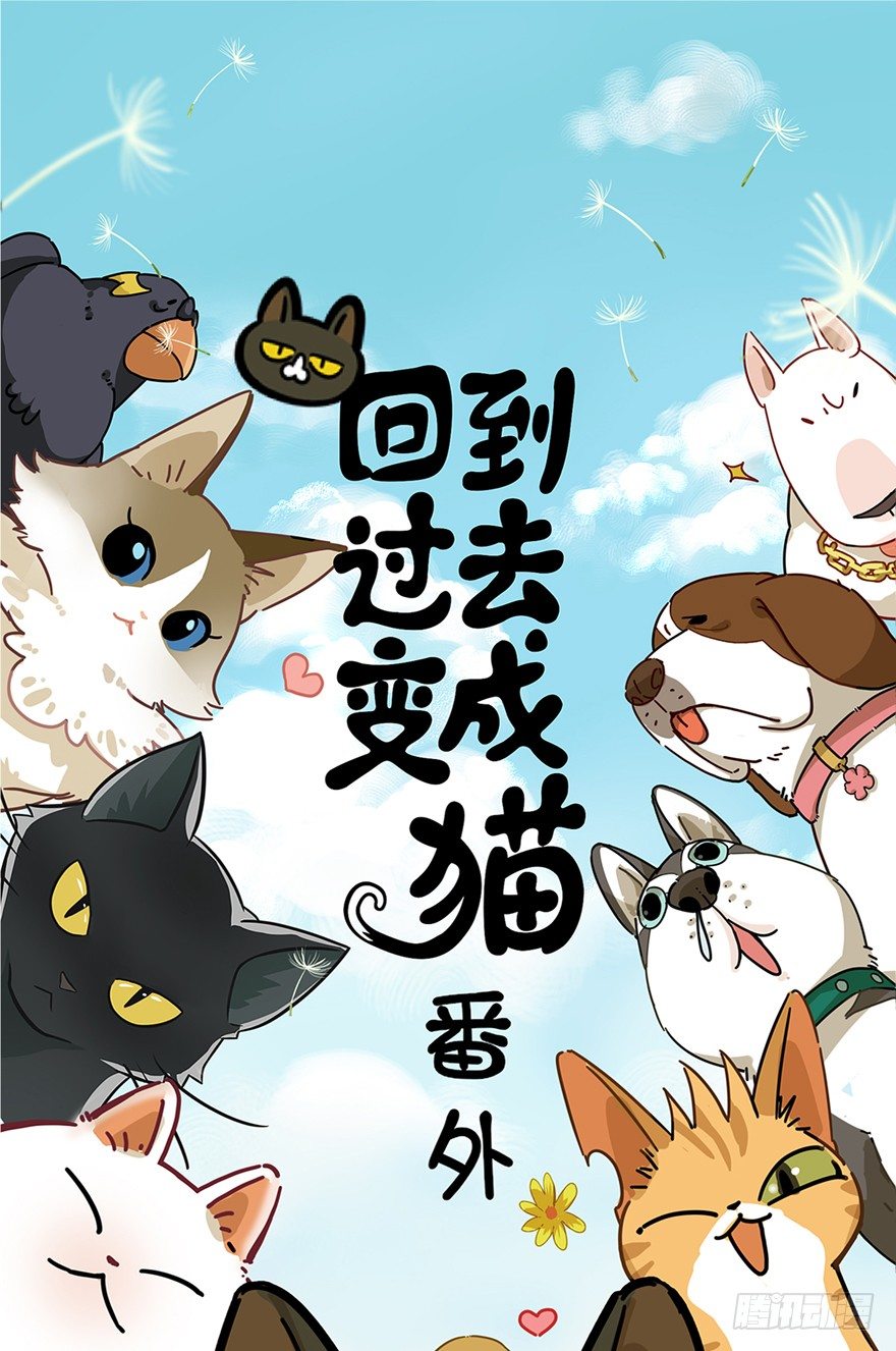 《回到过去变成猫外传》第21爪 夏天真好（下） 第1页