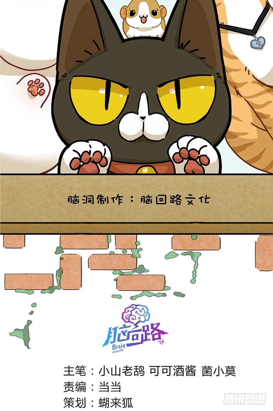 《回到过去变成猫外传》第21爪 夏天真好（下） 第2页