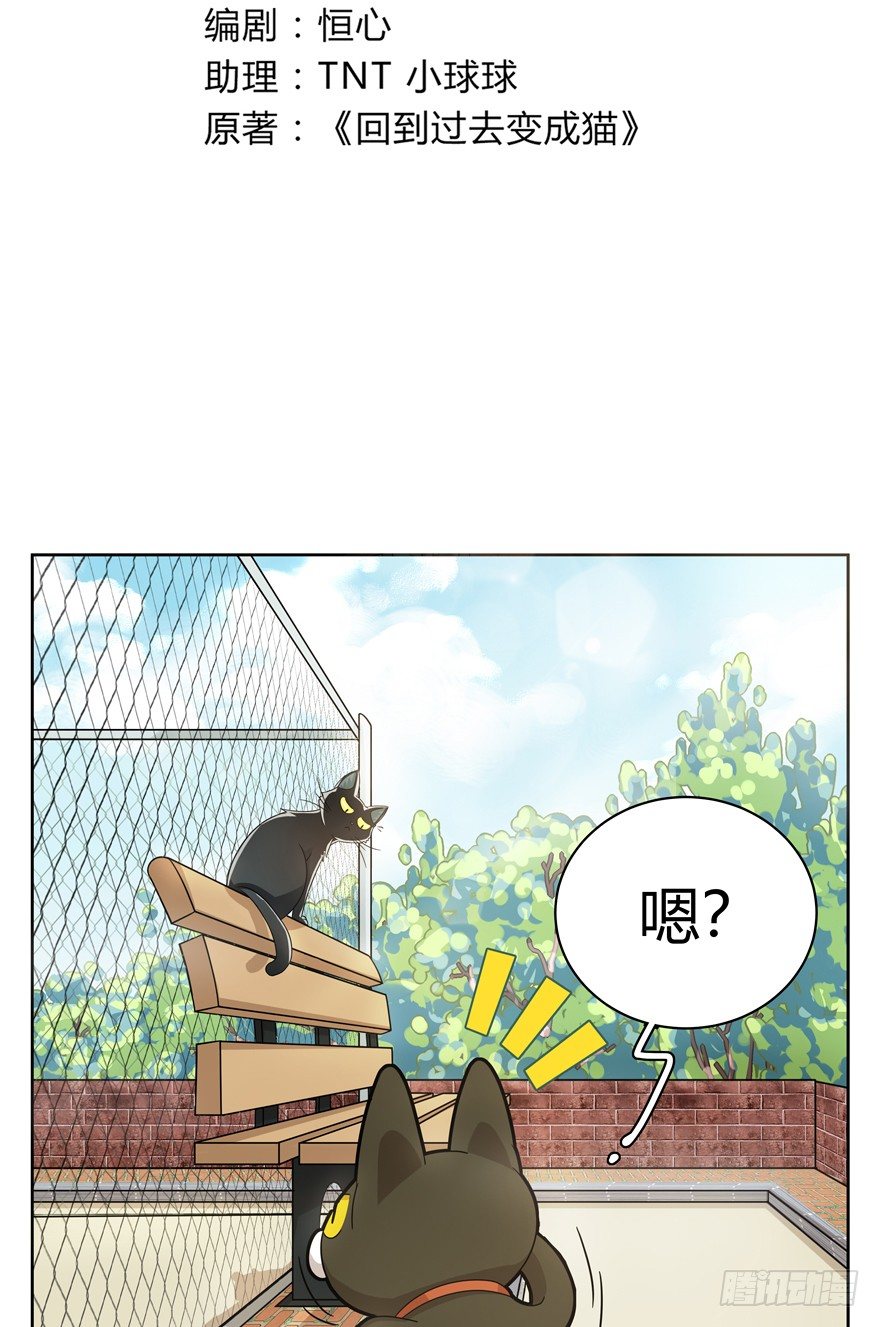《回到过去变成猫外传》第21爪 夏天真好（下） 第3页