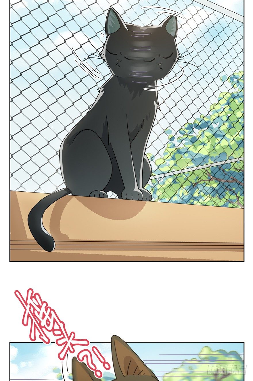 《回到过去变成猫外传》第21爪 夏天真好（下） 第5页