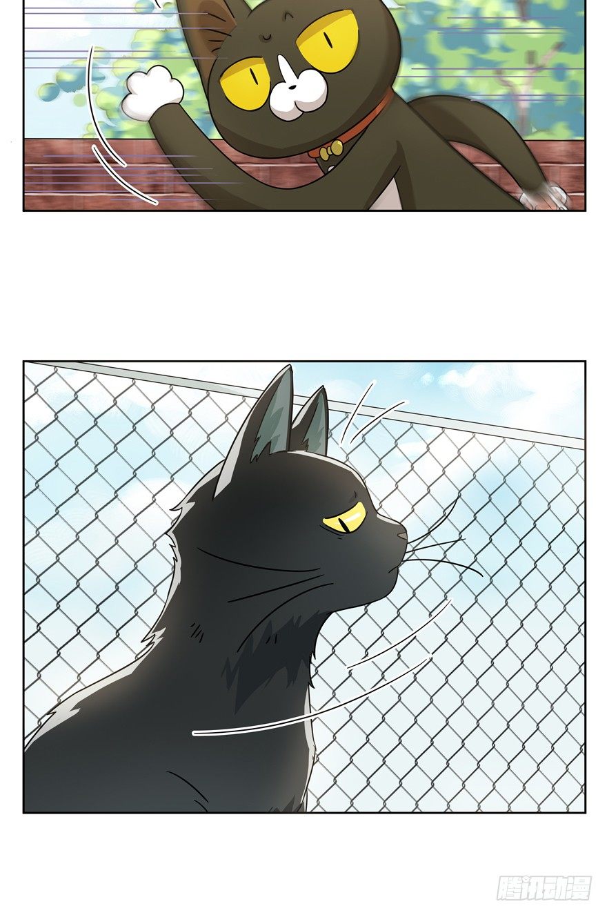 《回到过去变成猫外传》第21爪 夏天真好（下） 第6页