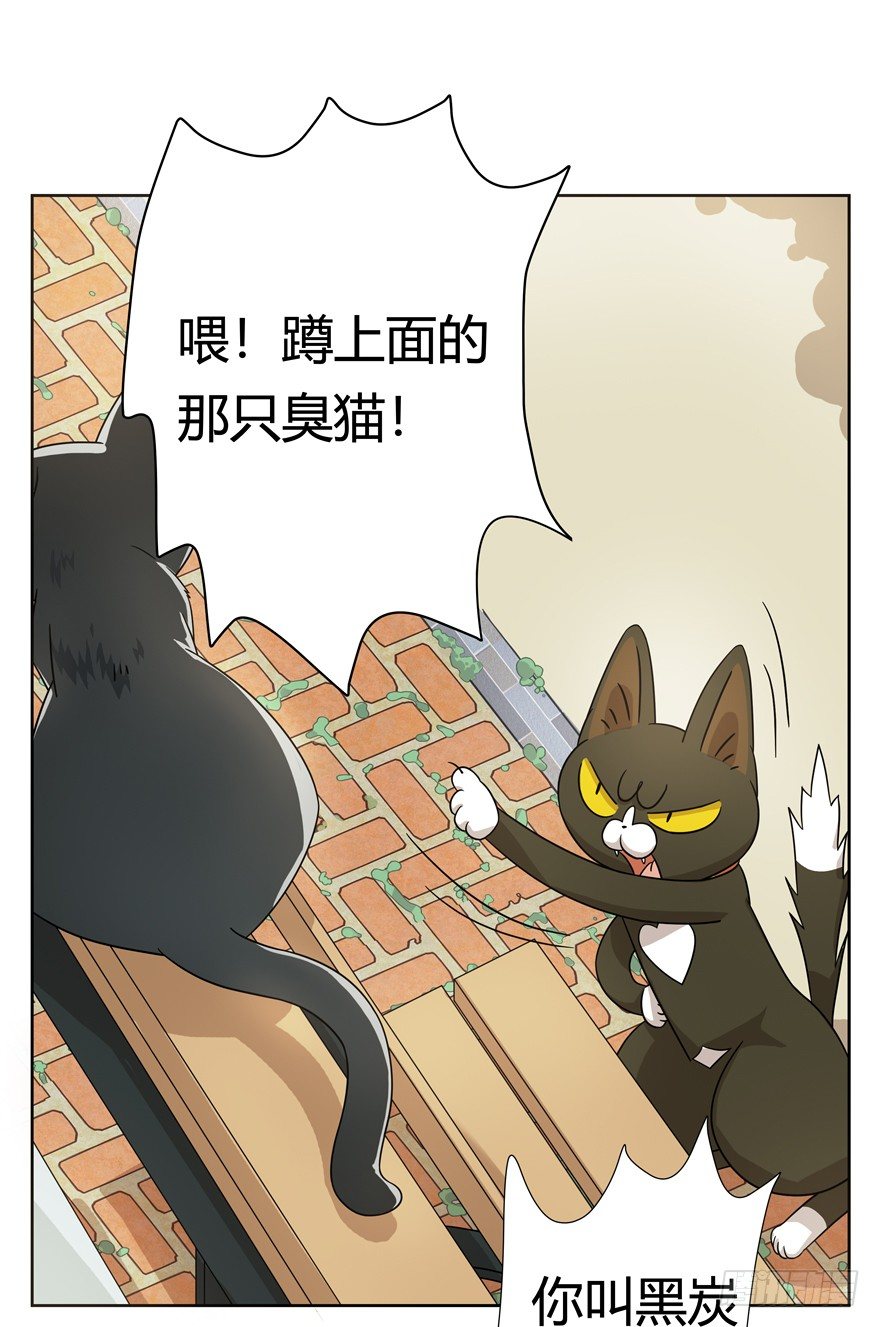 《回到过去变成猫外传》第21爪 夏天真好（下） 第7页