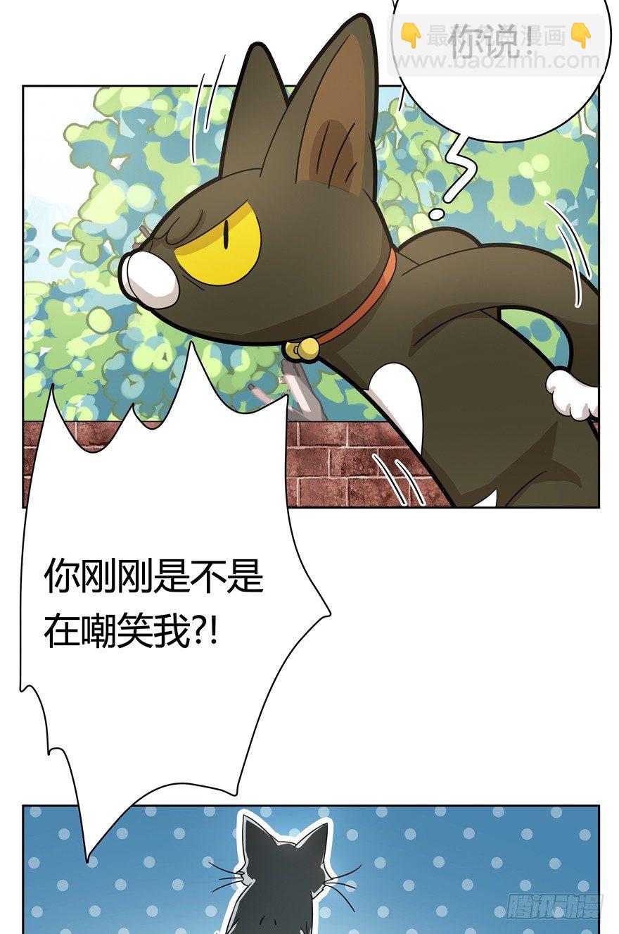 《回到过去变成猫外传》第21爪 夏天真好（下） 第9页