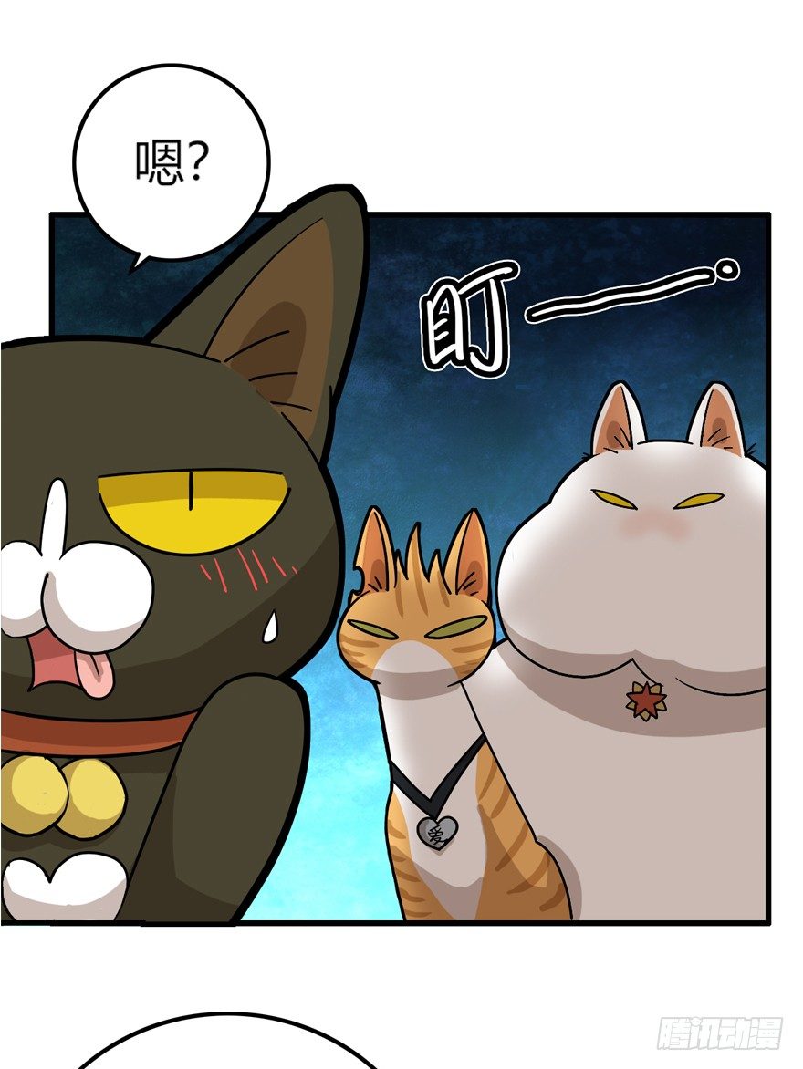 《回到过去变成猫外传》第28爪 猫圈鄙视链（上） 第11页