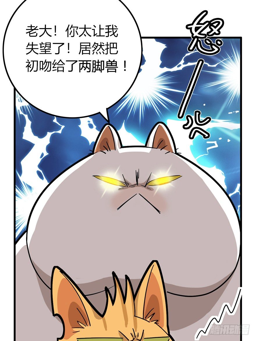 《回到过去变成猫外传》第28爪 猫圈鄙视链（上） 第12页