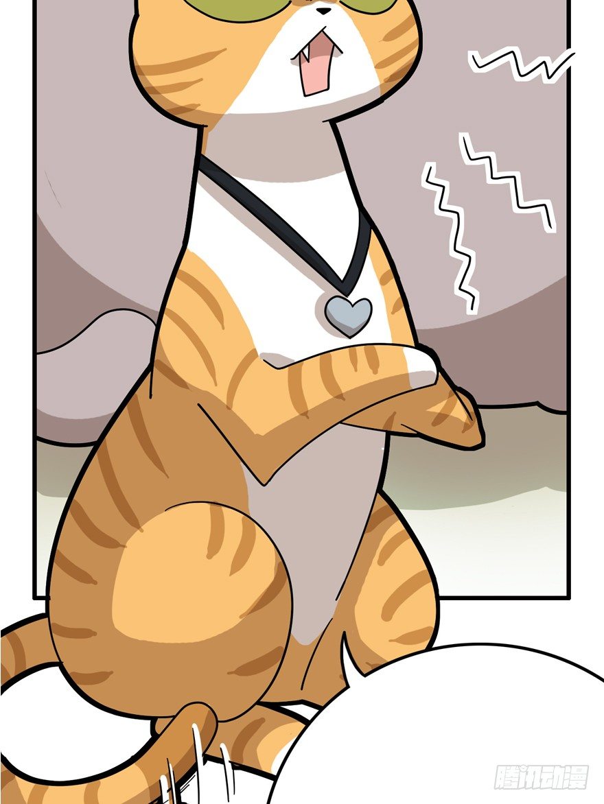 《回到过去变成猫外传》第28爪 猫圈鄙视链（上） 第13页