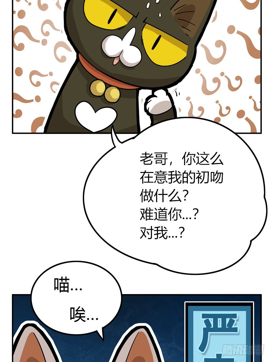 《回到过去变成猫外传》第28爪 猫圈鄙视链（上） 第15页