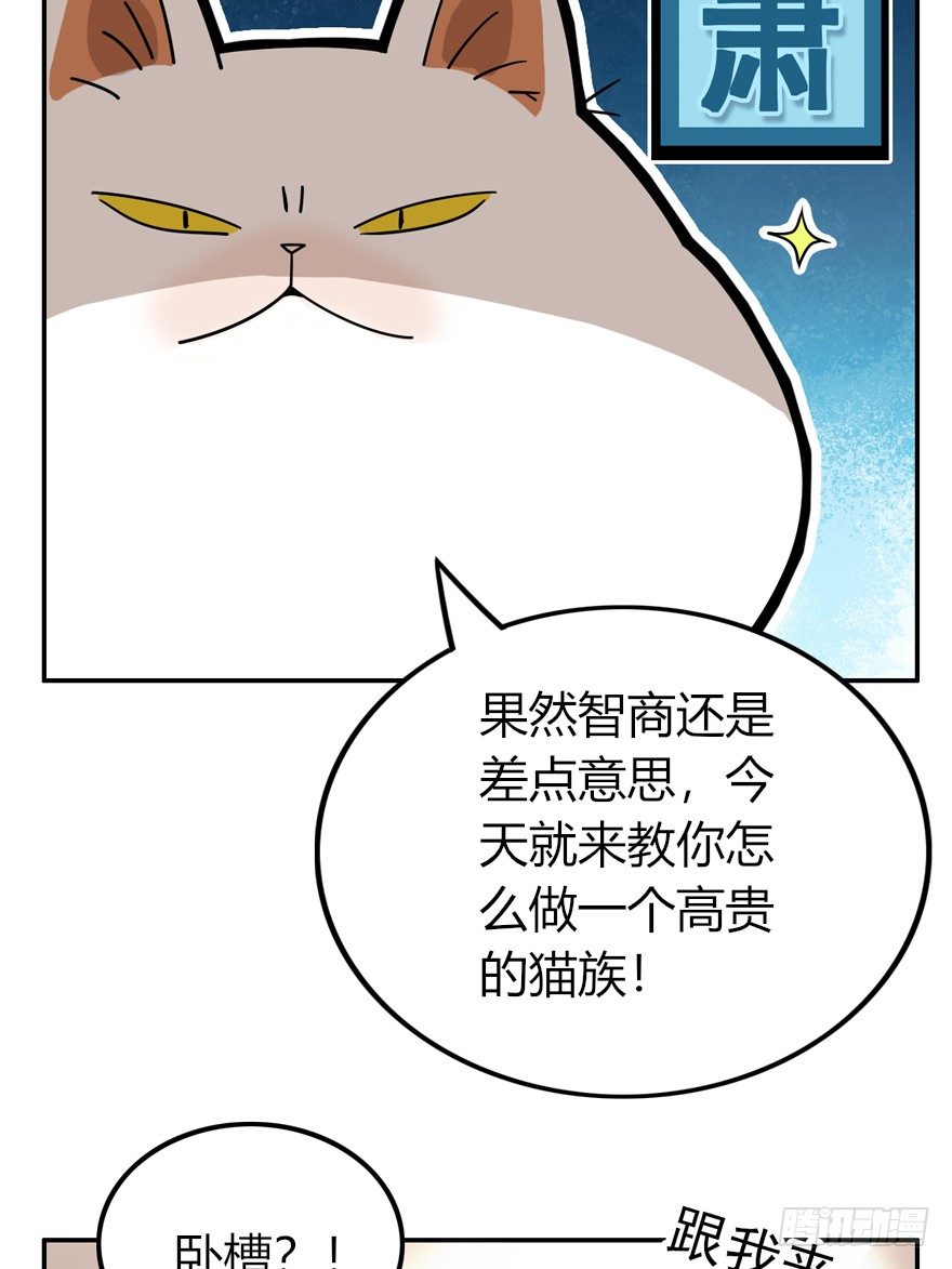 《回到过去变成猫外传》第28爪 猫圈鄙视链（上） 第16页